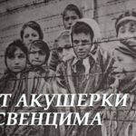 Рапорт польской акушерки из Освенцима. Не для слабонервных