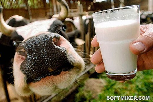 Молоко: из чего оно сейчас состоит. Что мы с вами пьем. Вся правда о молоке