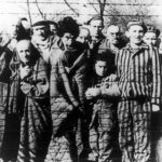 Узники Освенцима: воспоминания. О чем они молчали 70 лет