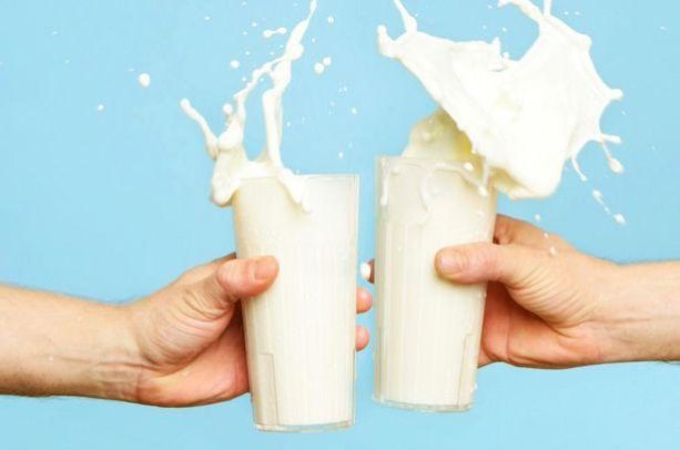 Польза и вред молока