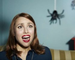 Приметы про пауков. Увидеть в доме, на улице, на работе или в квартире: к чему это?