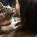 Почему кошки к женщинам лучше относятся, чем к мужчинам?