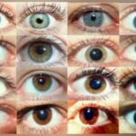 Почему глаза разного цвета? Какой самый редкий цвет глаз?