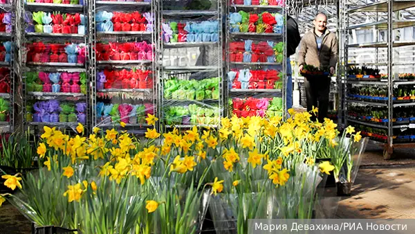 Россельхознадзор запретил ввоз цветов из Армении